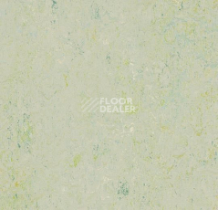 Линолеум Forbo Marmoleum Marbled Splash 3430-343035 salsa verde фото 1 | FLOORDEALER